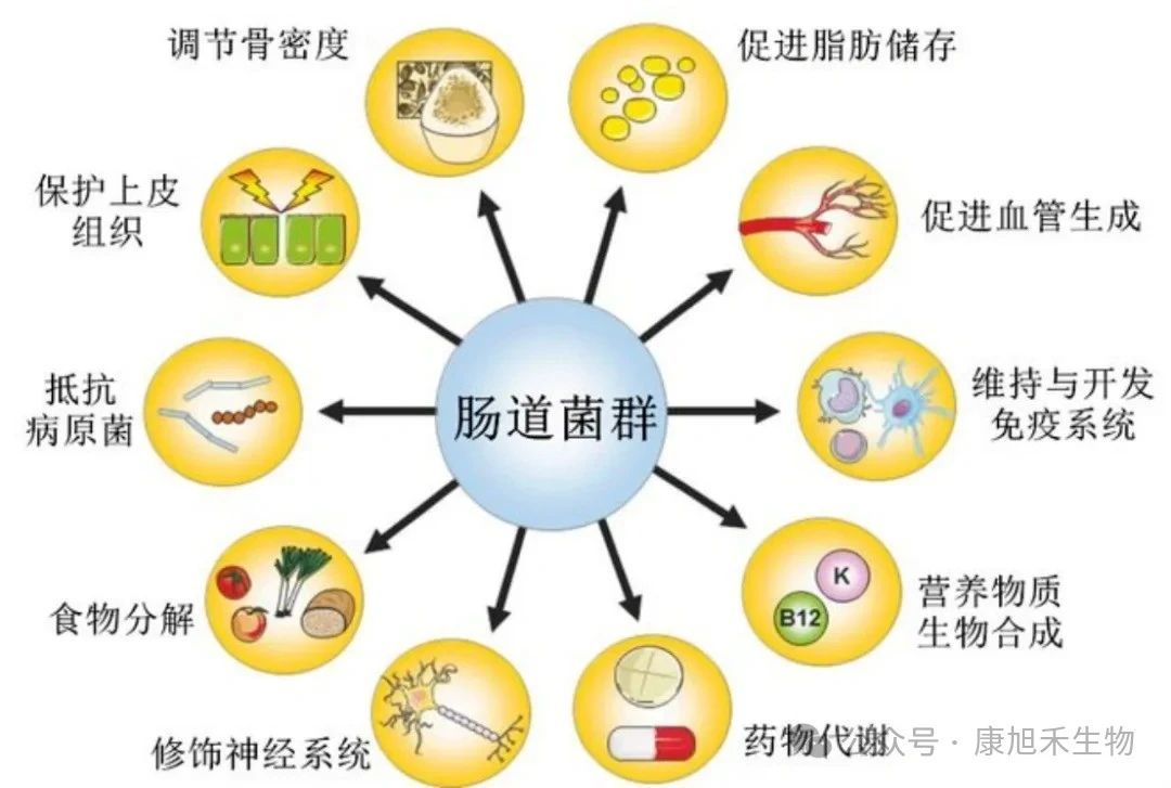 微信圖片_2025-07-09_164025_379