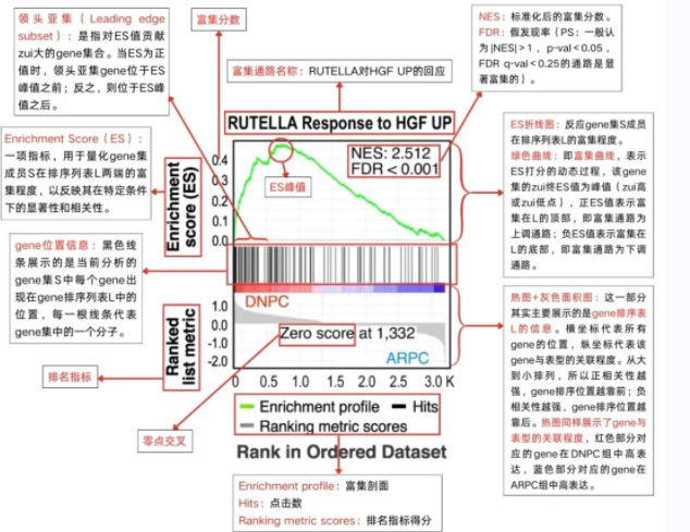 微信圖片_2025-07-16_135537_241