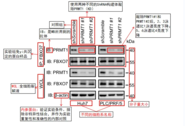 微信圖片_2025-07-16_135600_568