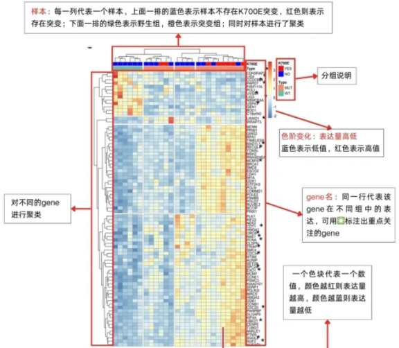 微信圖片_2025-07-16_135749_360