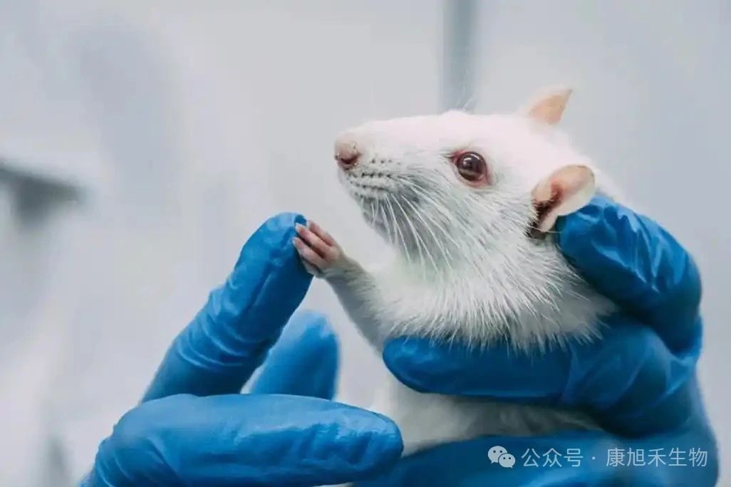 微信圖片_2025-07-22_162710_678