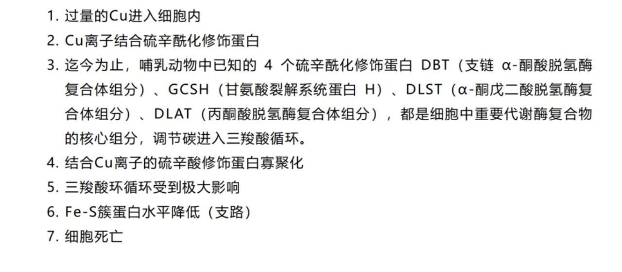 微信圖片_2025-07-22_172450_483