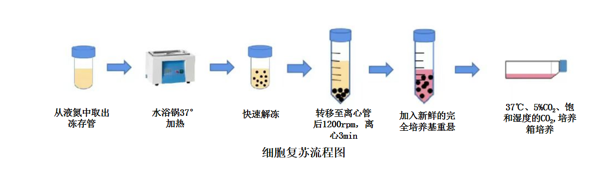 微信圖片_2025-07-24_160611_311