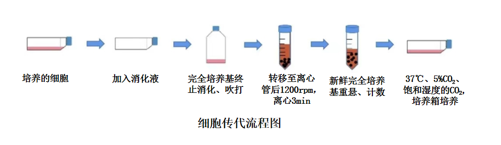 微信圖片_2025-07-24_160708_463