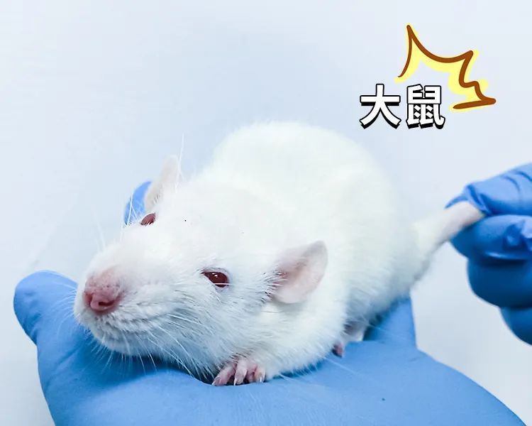 微信圖片_2025-07-24_163152_166