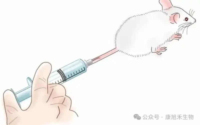 微信圖片_2025-07-25_171427_275