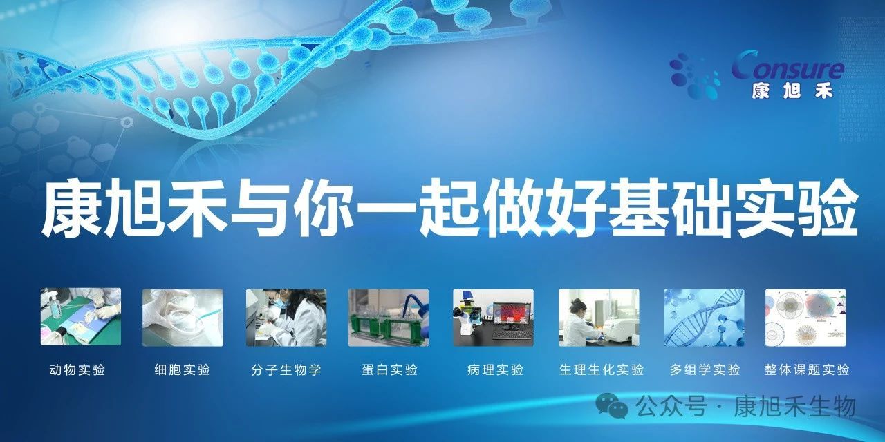 微信圖片_2025-07-15_093040_716