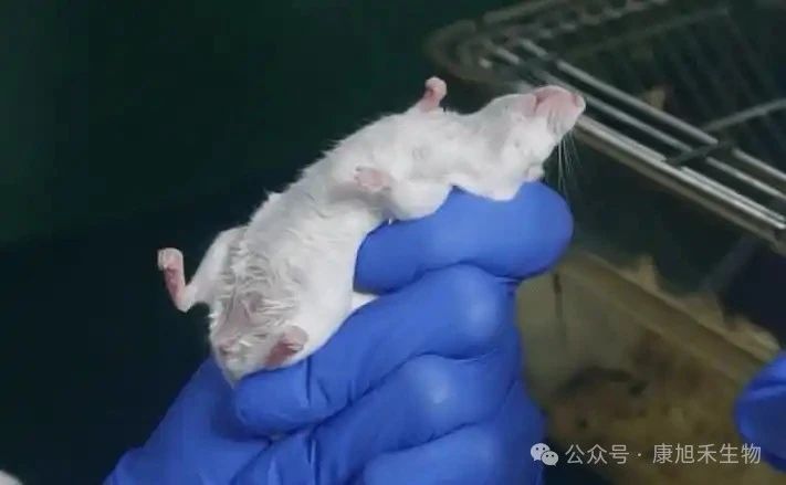 微信圖片_2025-07-28_172027_450