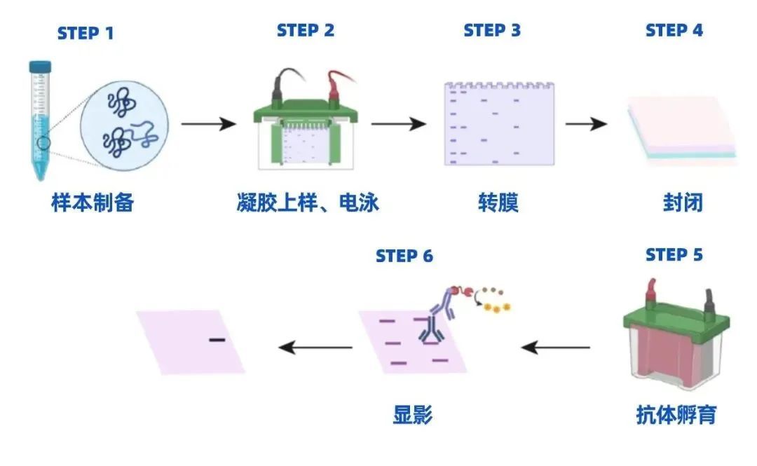 微信圖片_2025-07-30_164313_796