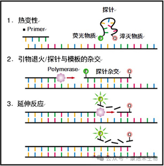 微信圖片_2025-07-30_173132_328