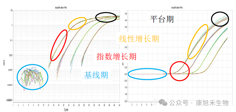 微信圖片_2025-07-30_173309_624
