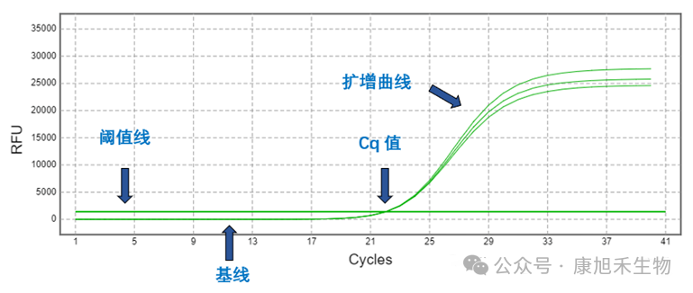 微信圖片_2025-07-30_173406_280