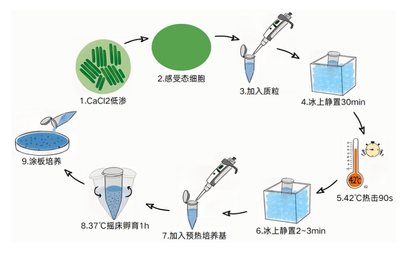 微信圖片_2025-07-31_173355_204