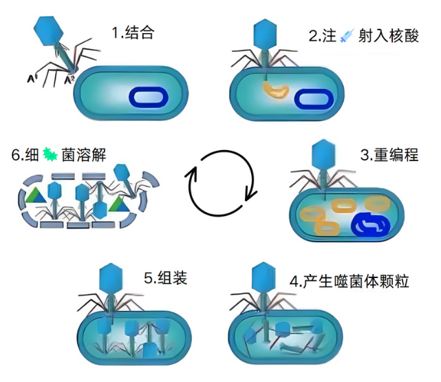 微信圖片_2025-07-31_173434_061