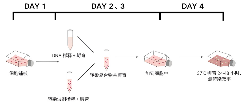 微信圖片_2025-07-31_173717_908