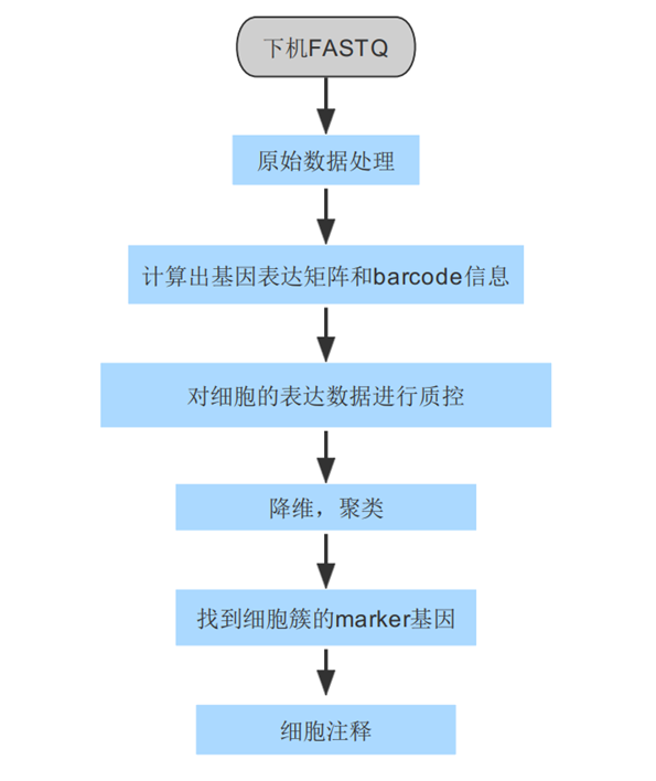 微信圖片_2025-08-04_172036_359