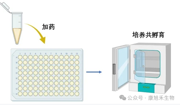 微信圖片_2025-08-05_171920_833