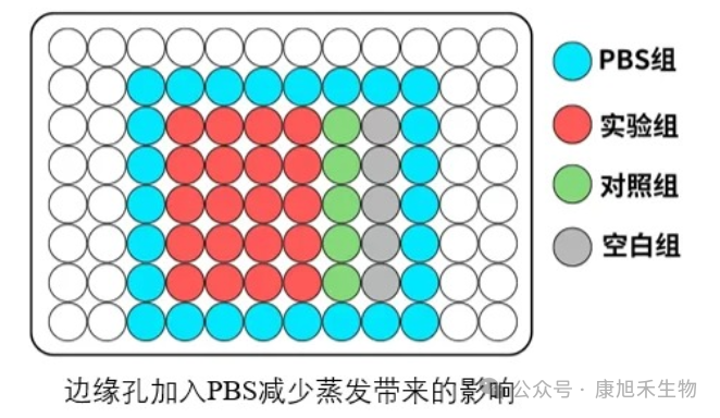 微信圖片_2025-08-05_171954_041