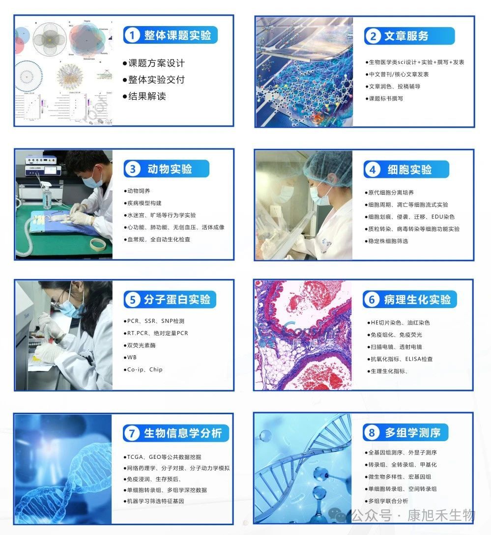 微信圖片_2025-08-05_172446_248
