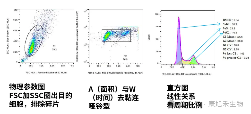 微信圖片_2025-08-06_155026_120