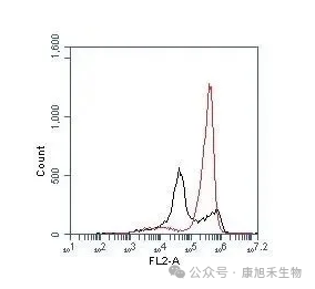微信圖片_2025-08-06_155133_233