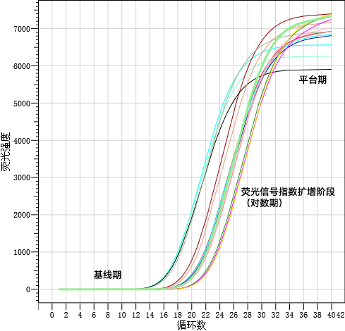 微信圖片_2025-08-12_171551_404