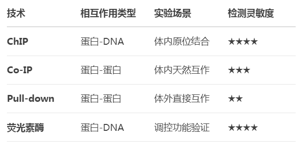 微信圖片_2025-08-13_143514_236