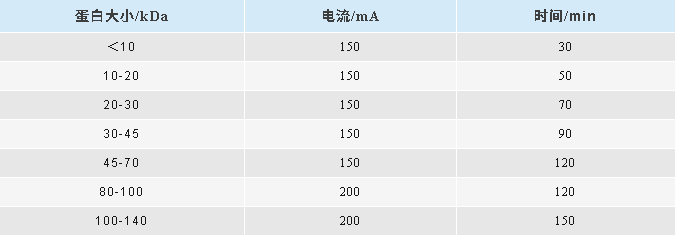 微信圖片_2025-08-13_143959_965
