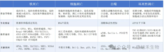 wechat_2025-08-15_145837_320