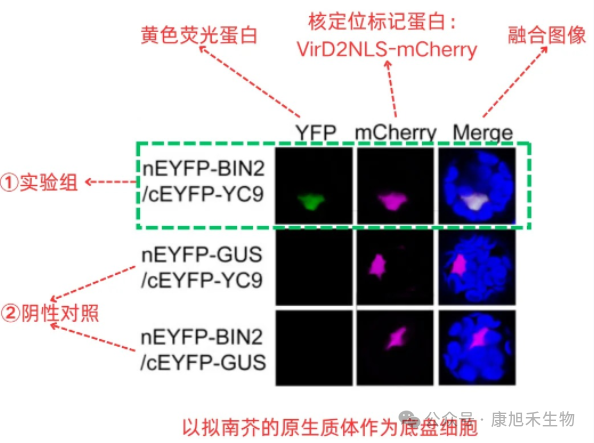 微信圖片_2025-08-26_110442_607