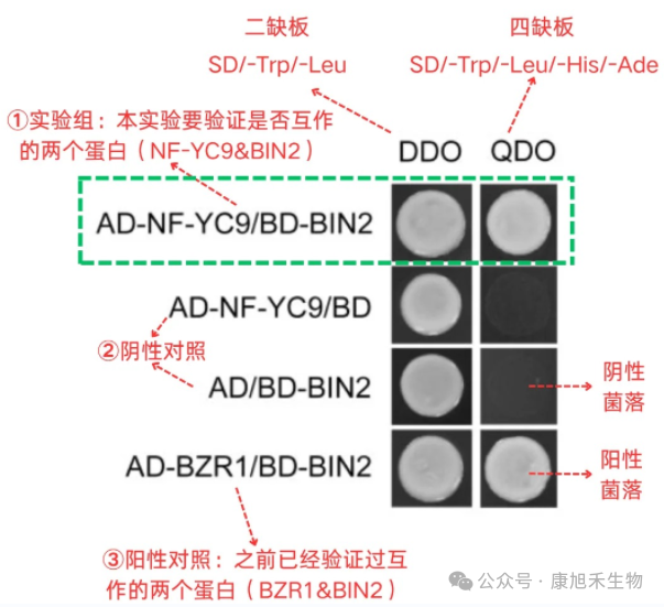 微信圖片_2025-08-26_110556_982