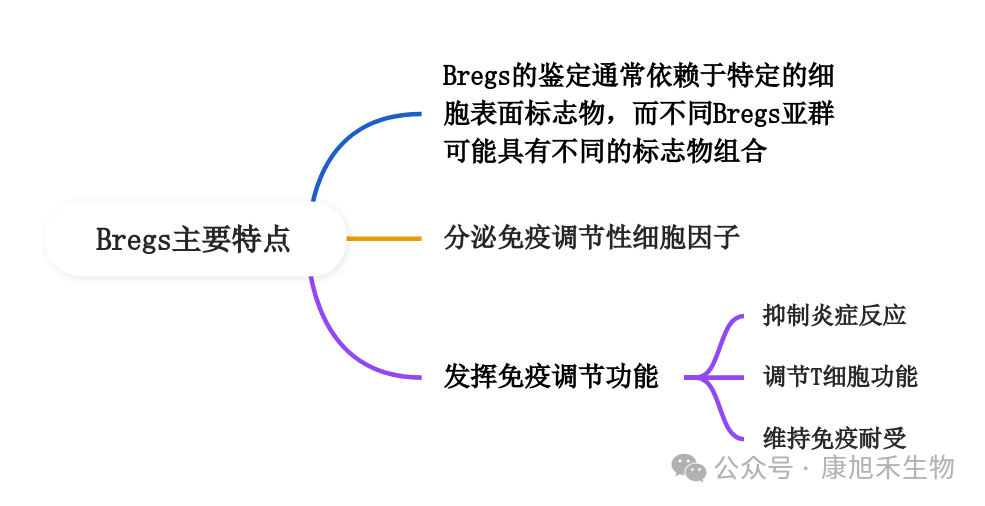 微信圖片_2025-08-26_152701_559