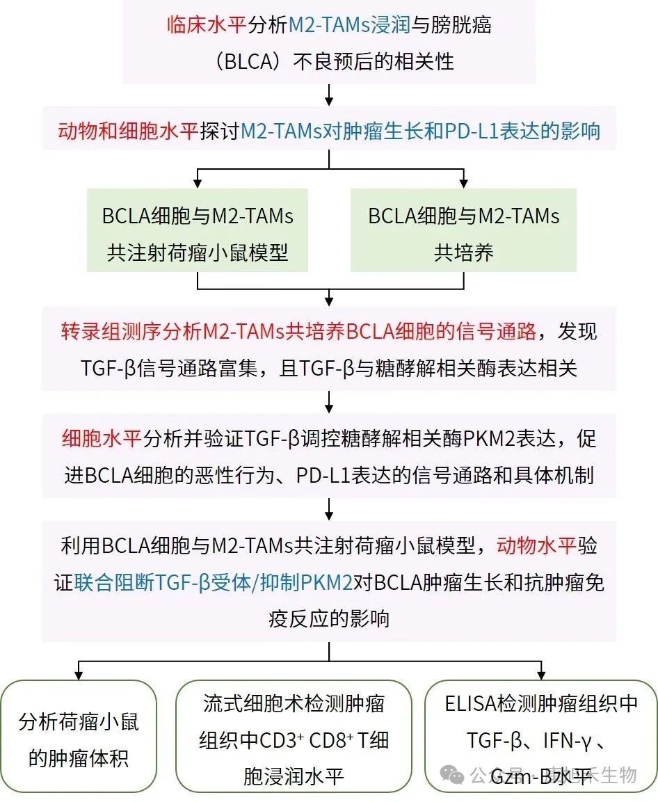 微信圖片_2025-09-02_172747_716