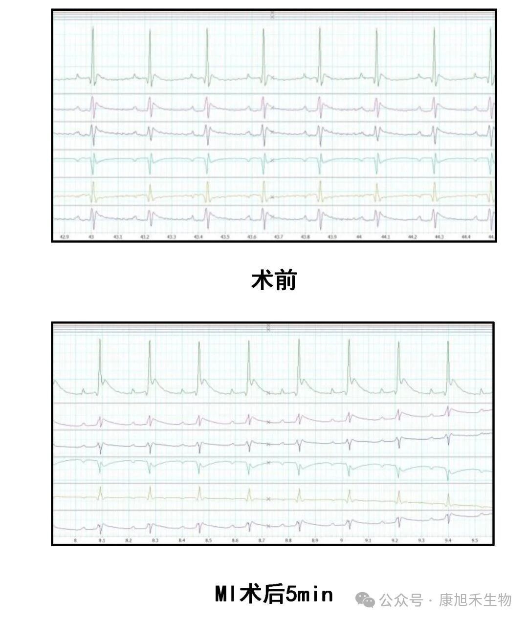 微信圖片_2025-09-04_153348_572
