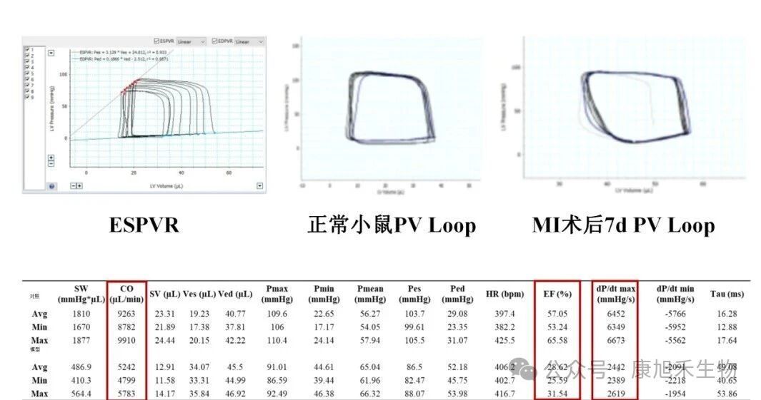 微信圖片_2025-09-04_153434_724