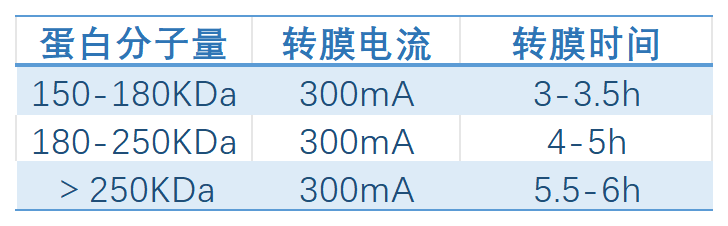 微信圖片_2025-09-04_153933_244