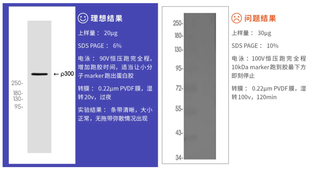 微信圖片_2025-09-04_154042_748