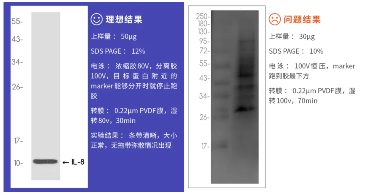 微信圖片_2025-09-04_154150_659
